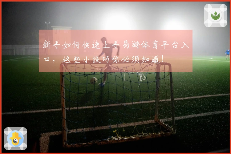 新手如何快速上手易游体育平台入口，这些小技巧你必须知道！
