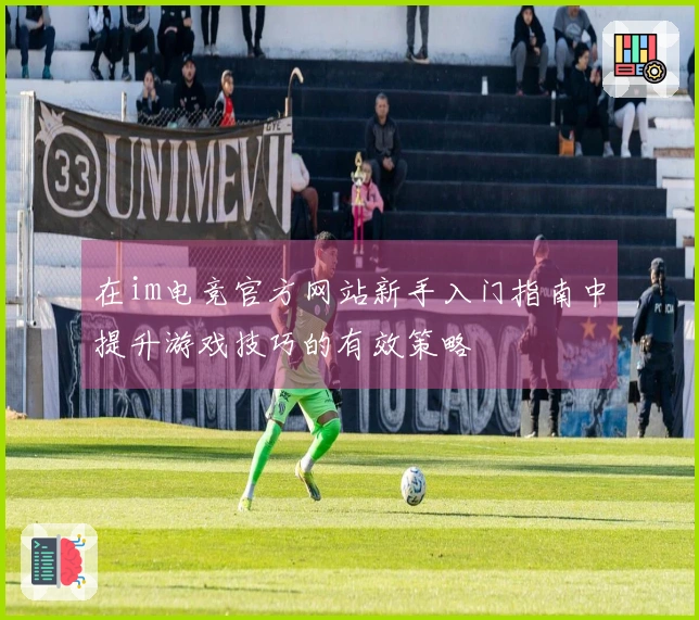 在im电竞官方网站新手入门指南中提升游戏技巧的有效策略